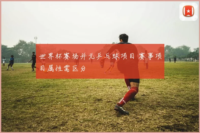 世界杯赛场并无乒乓球项目 赛事项目属性需区分