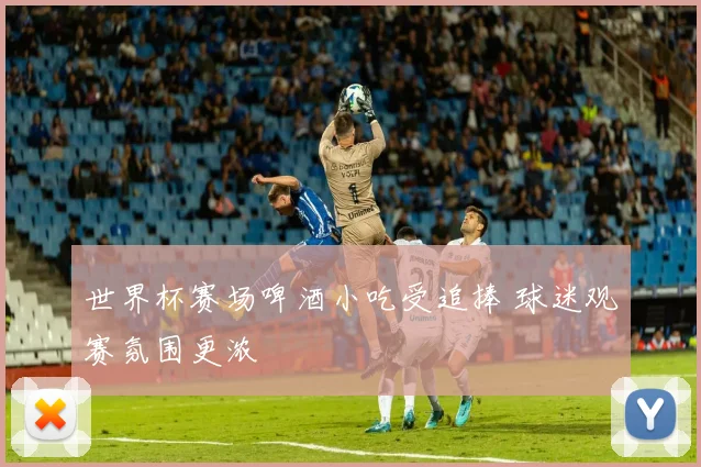世界杯赛场啤酒小吃受追捧 球迷观赛氛围更浓
